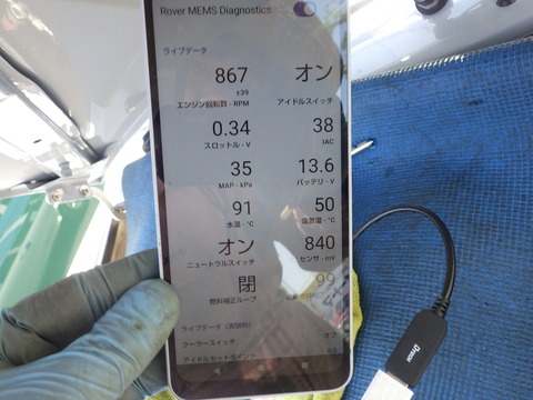 KIKU3445