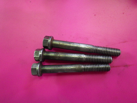KIKU0963