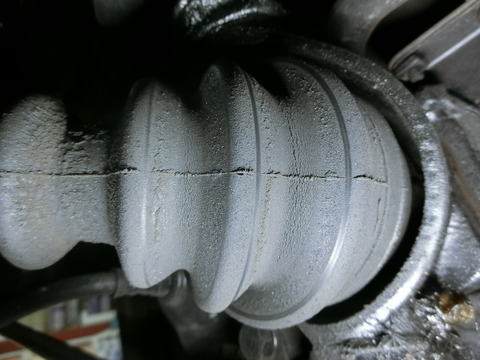 CIMG5011