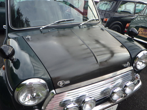SQOR9790