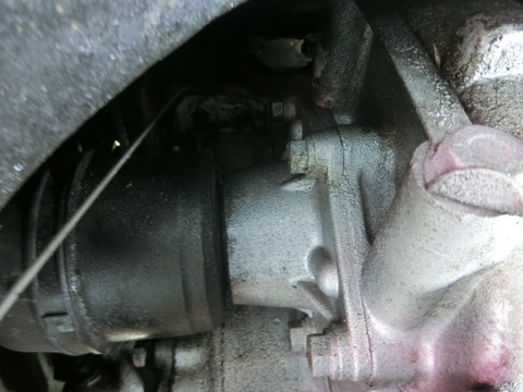 CIMG6500