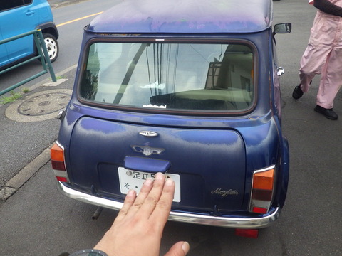 KIKU9164