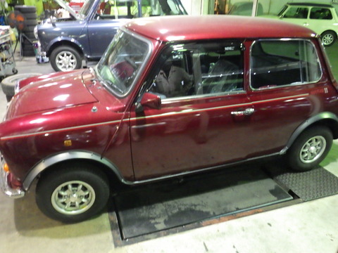 KIKU3577