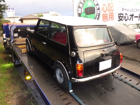 AZM_8818