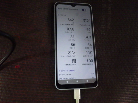 KIKU3316