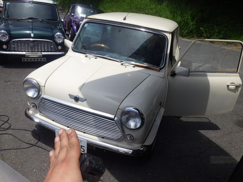 KIKU5320