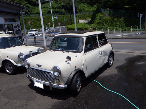 SQOR0739