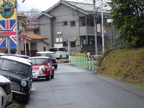 KIKU0501