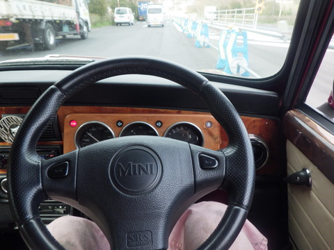 AZM_3102