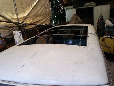 20100905_1145307