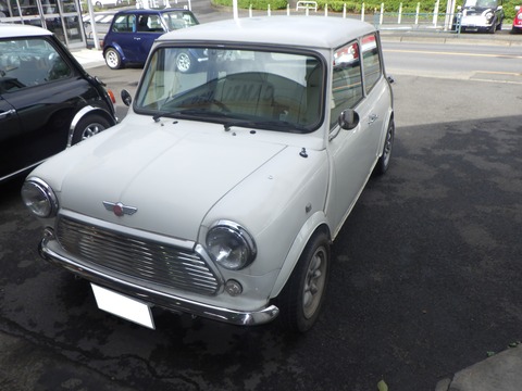 KAJI5575