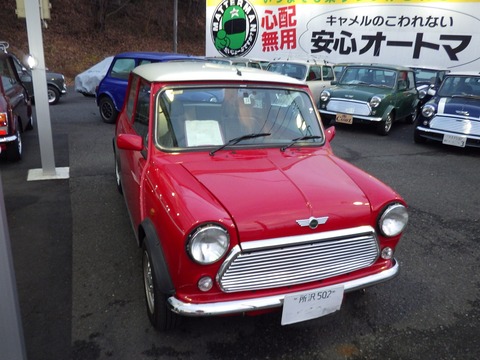 TERU70031