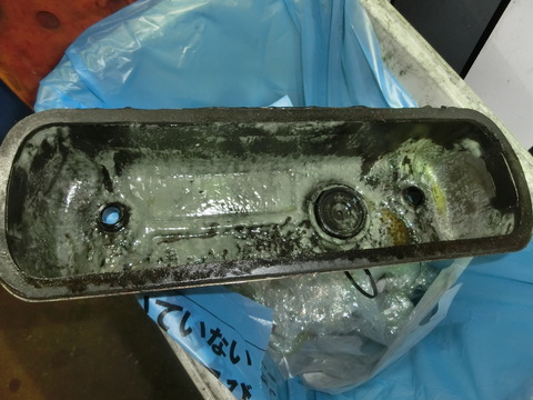 CIMG1506