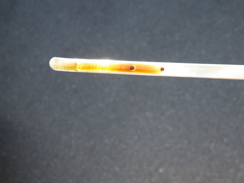 ISK_0825