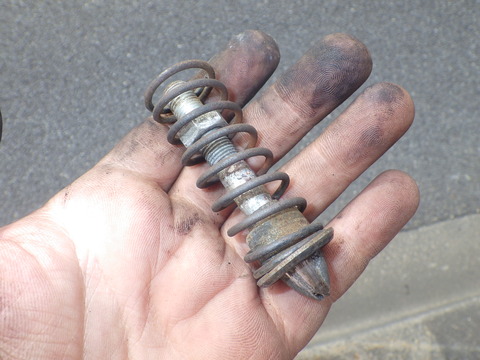 KIKU1571