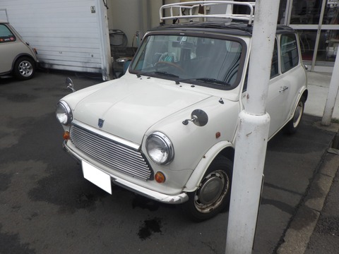 KAJI2312
