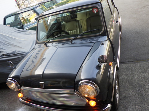 KAJI1490