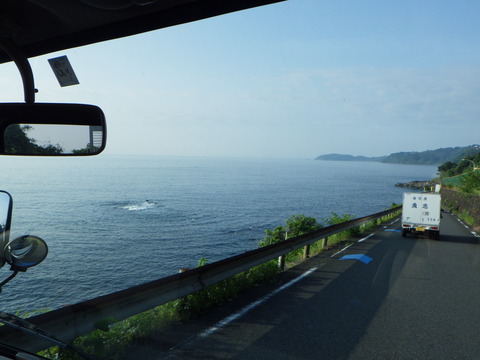 SQOR0816