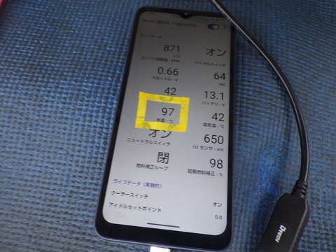 KIKU5771