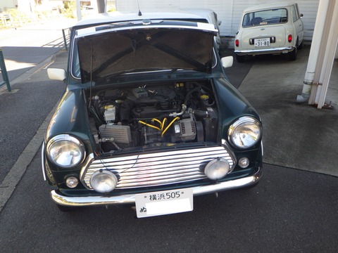 SQOR7005