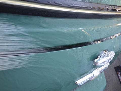 KIKU5160