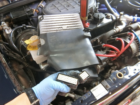 CIMG6904