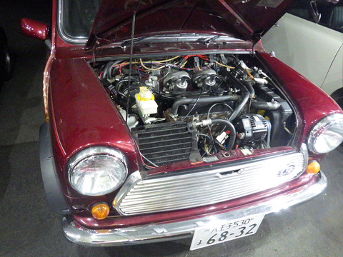 KIKU3565
