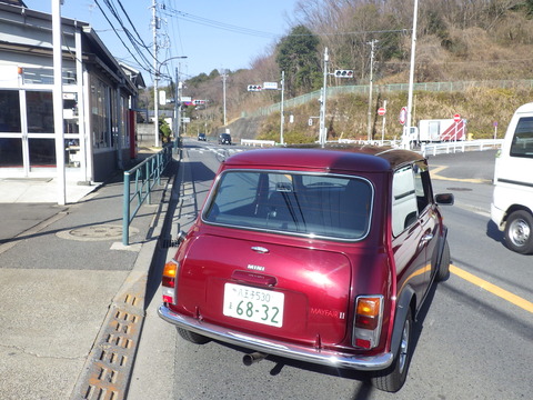 KIKU3754