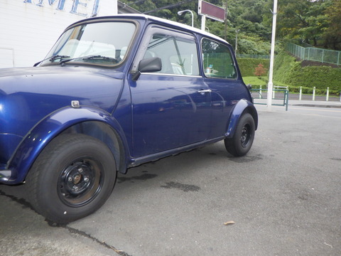 KAJI6395