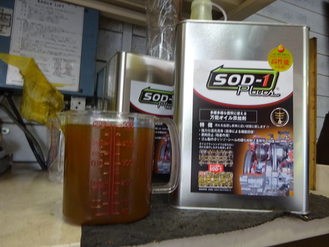 DSC04520