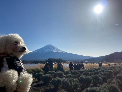 富士山