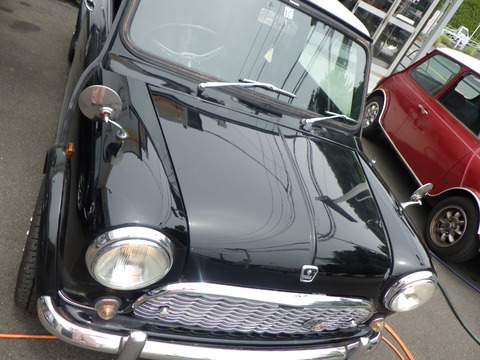 KAJI3881