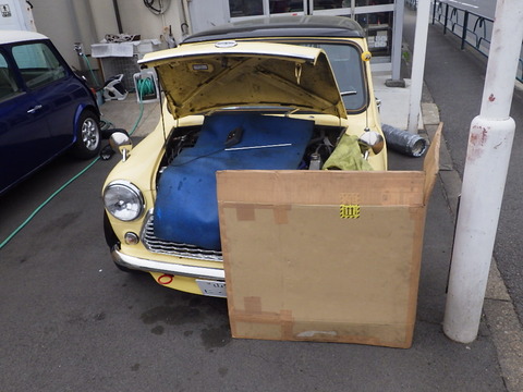 KIKU1603