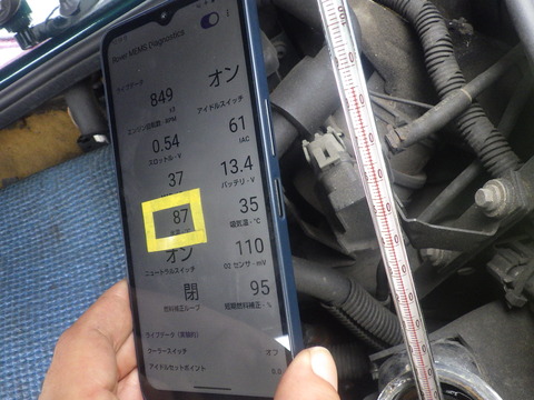 KIKU1479