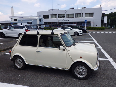 TERU8981