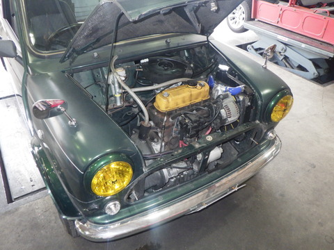 KAJI1557