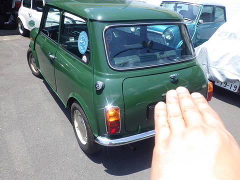 KIKU8005