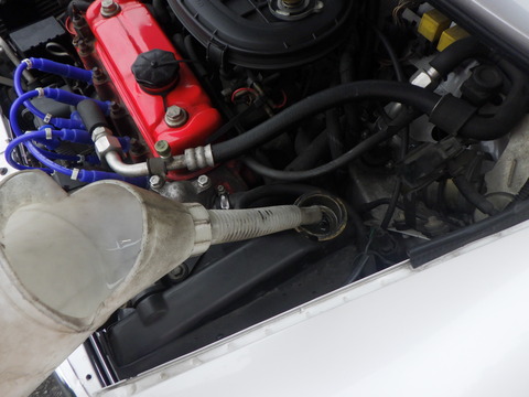 KAJI3689