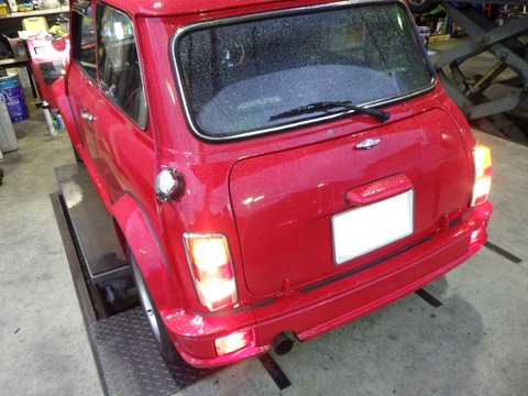 KAJI3101
