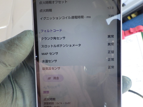 KIKU3418