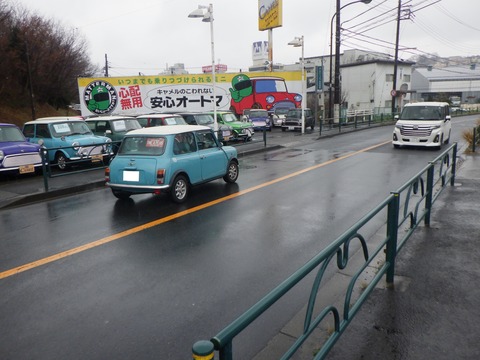 KAJI2146