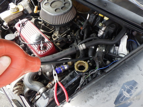 KAJI6737