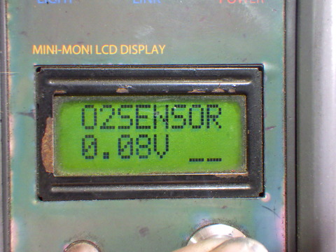 MNK_9505