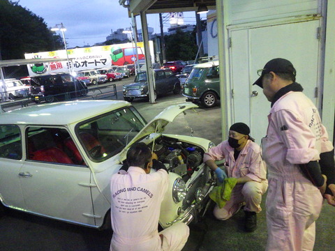 KIKU5697