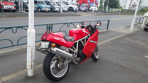 SQOR5995