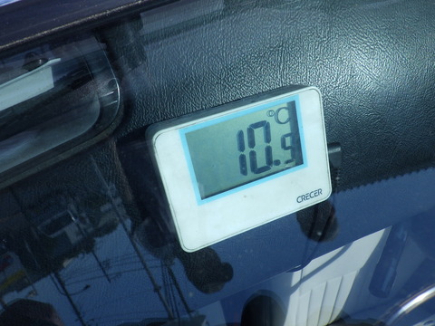KIKU3485