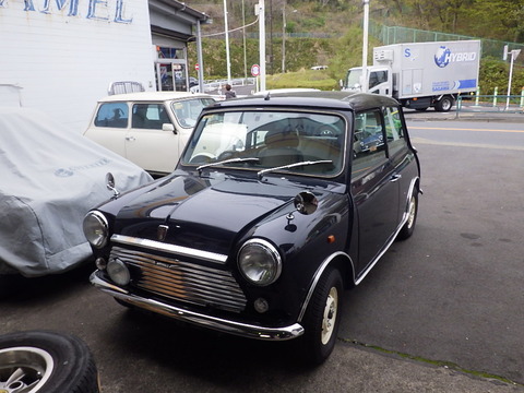KIKU1446