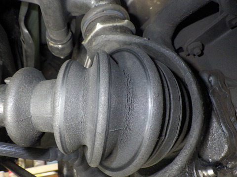 KAJI2688