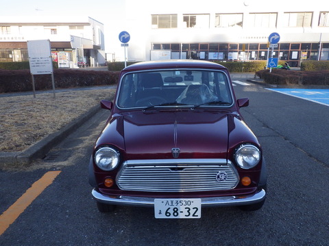 KIKU3426