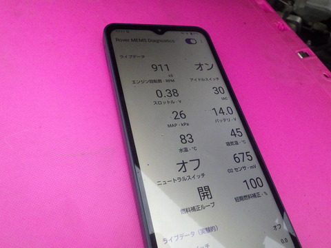 KIKU0236